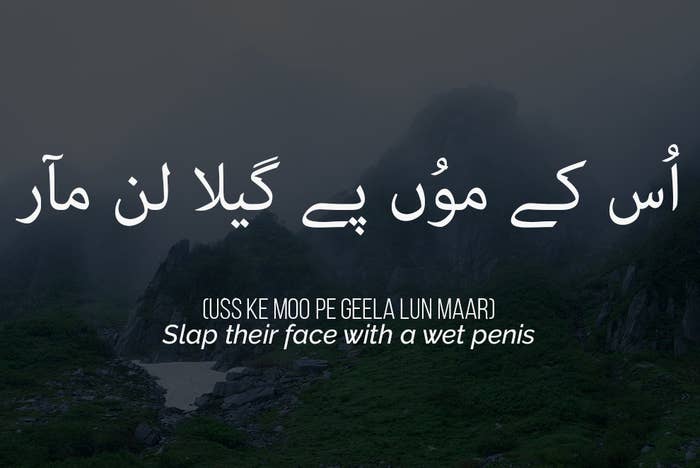 12 Urdu Insults The English Language Needs