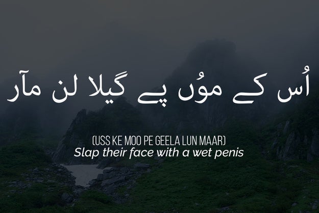 12-urdu-insults-the-english-language-needs