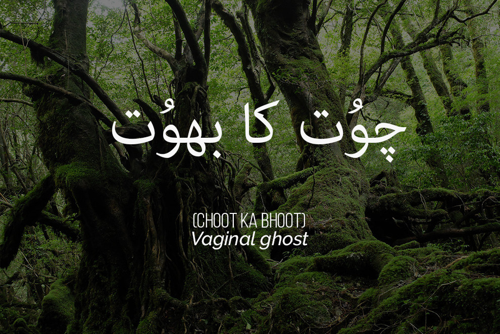 12 Urdu Insults The English Language Needs