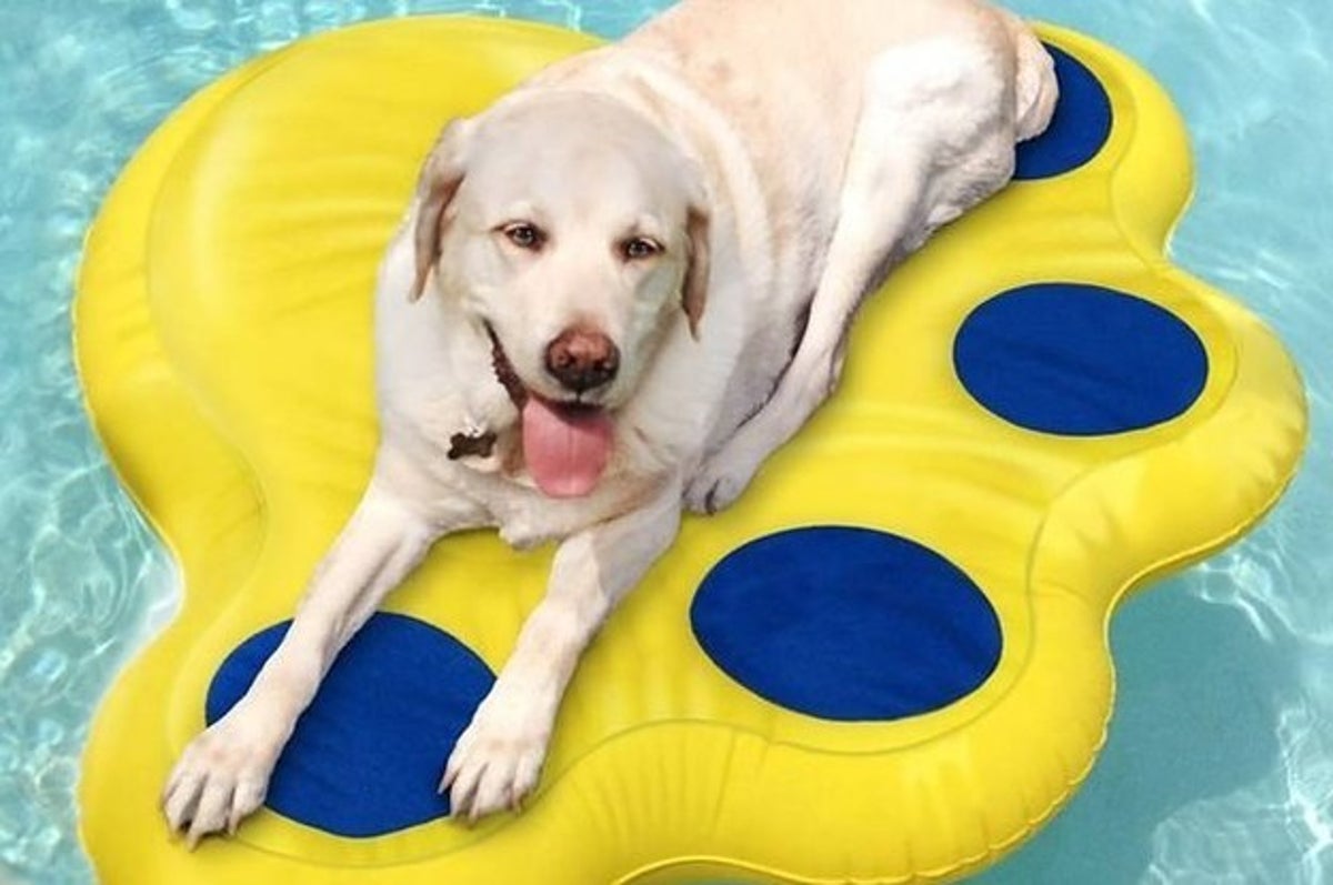>41 Insanely Clever Products Your Dog Deserves To Own
