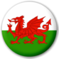 Welshican's avatar