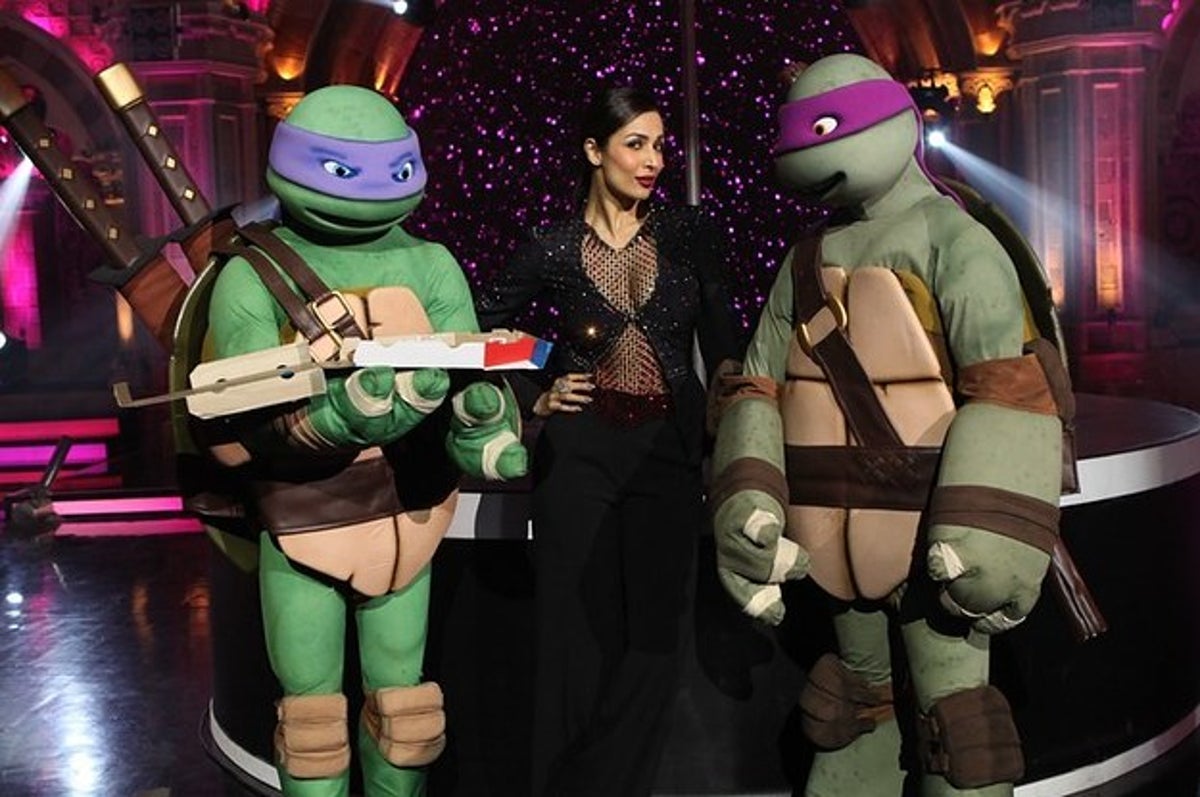 1200px x 797px - Here Are Some Fucking Baffling Photos Of Malaika Arora Khan, Ninja Turtles,  And Pizza