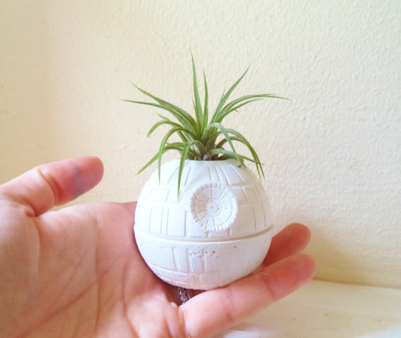 This tiny Star Wars planter to give your baby a fun home: