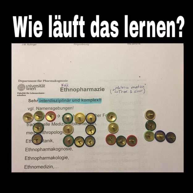 Dieses Bild schickst Du Deiner Mutter, wenn sie fragt: