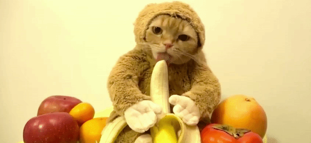 La fruta es deliciosa, es buena para la salud y contiene azúcares naturales. Y aunque técnicamente no hay una diferencia química entre los azúcares naturales y los añadidos, sí hay una gran diferencia entre comer una fruta y un dulce. Según Brian St. Pierre, director de performance nutrition en Precision Nutrition, cuando comes fruta también estás consumiendo muchos otros nutrientes importantes, como fibra, vitaminas, fitoquímicos y agua (ya que algunas frutas son en su mayor parte agua), lo cual no obtendrías con los dulces procesados como galletas o caramelos. Dicho esto, es interesante ver cuáles frutas contienen la menor y mayor cantidad de azúcar. Y si estás tratando de disminuir tu consumo de todo tipo de azúcar, aquí encontrarás más información sobre cómo hacerlo.