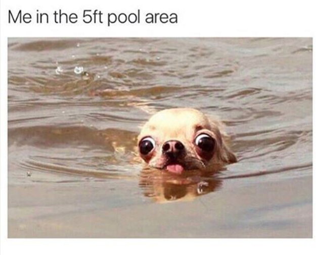 Being in the "shallow end" and still not being able to actually stand.