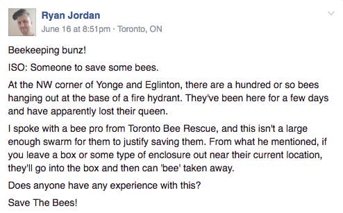 The post, written by Ryan Jordan, said there was about a hundred bees on a fire hydrant, apparently without a queen.Bunz has more than 50,000 members who list items for trade but there's also the occasional post seeking help for odd tasks — like moving bees.