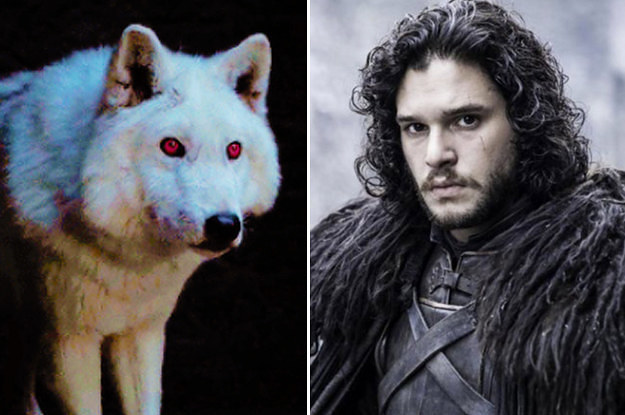 Seriously, Where The Fuck Is Ghost On "Game Of Thrones"?