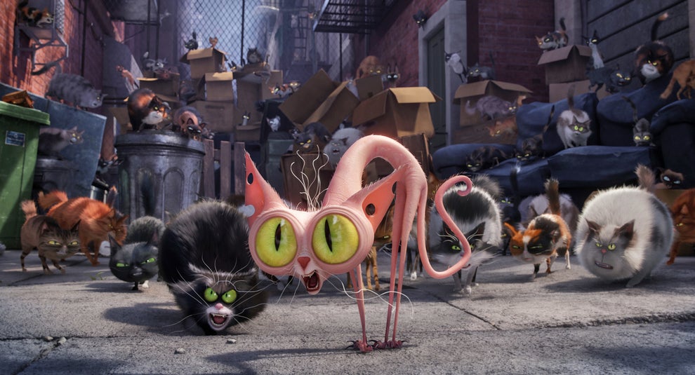 14 Pictures That Show The Secret Life Of Pets 14 Pictures That Show The Secret Life Of Pets