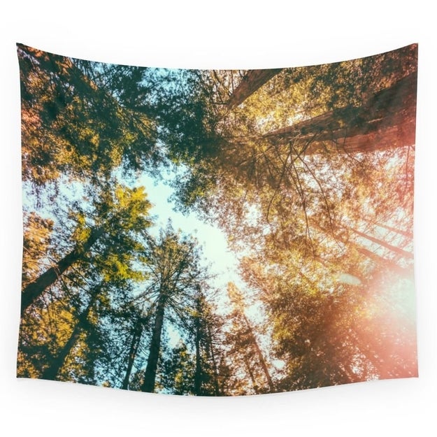This wall tapestry with the Californian Redwoods.