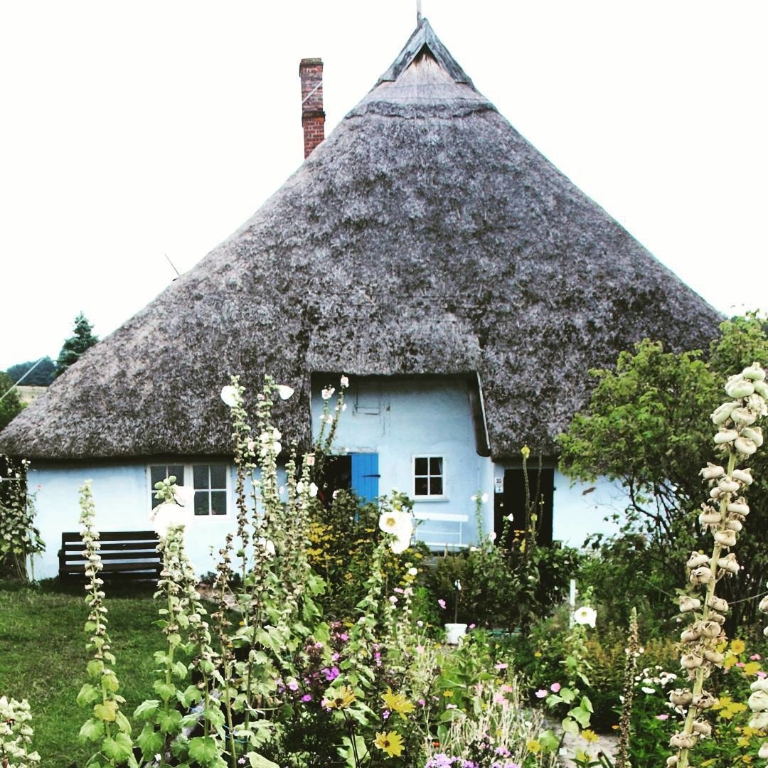 Großer Zicker