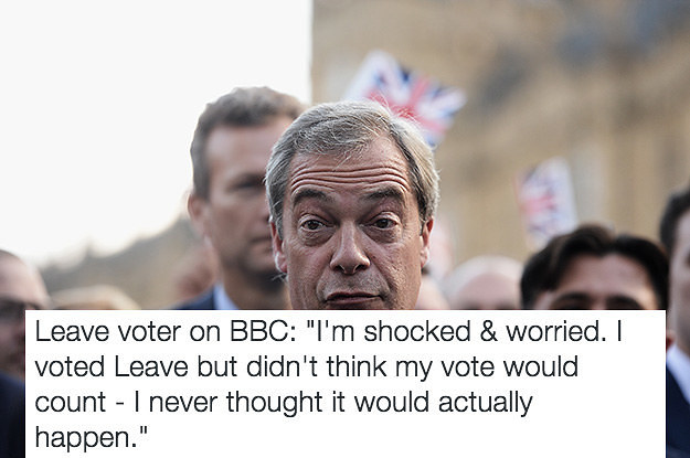 This Dude Who Thought His #Brexit Vote Wouldn't Matter Is A Valuable ...