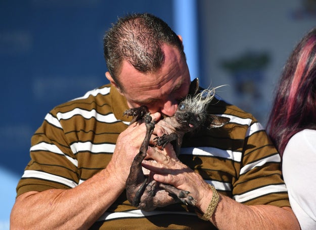 But in the end, there could only be one true ugliest dog, and it was SweePee Rambo who took home the big prize.