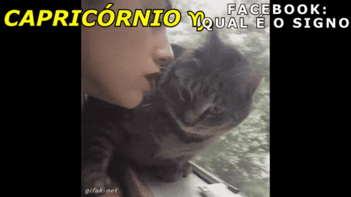 Este gato capricorniano está fugindo de sua dona canceriana.