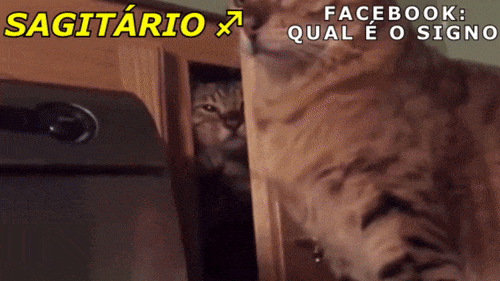 Ele está se escondendo de suas ações. Claro.