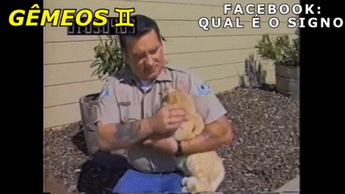 "AH MAS NÃO ME ENTENDEU MESMO!!!", disse o gato geminiano.