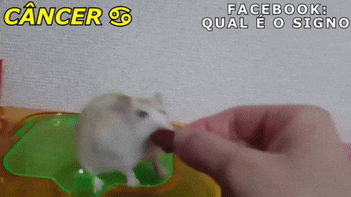Só se é trouxa com alguém uma vez, pena que esta vez dura pra sempre no seu coração.