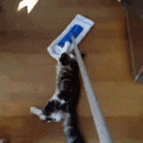 Pawsing on your work will only make it pile up later. Do it right meow and reap the benefits. You just need to focus on one task a time. Here's the "Science of Productivity" to get you inspired! (Coincidentally, it's less than five minutes long!)