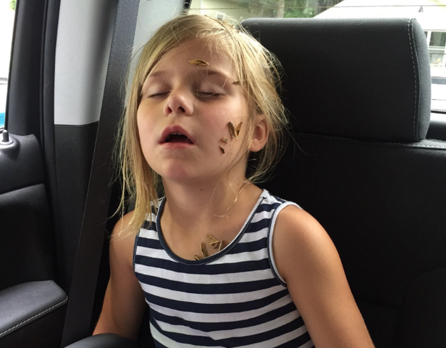 When the family stopped the car, Mia realized that the seeds hadn't exactly been flying out the window — they had been landing all over her little sis.