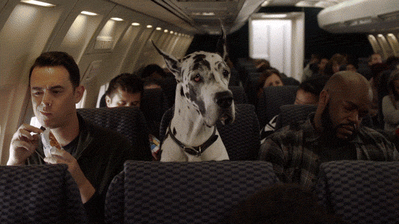 Be polite, become best friends with the stewardess, and show Ron from Accounting just how far your charm can carry you.