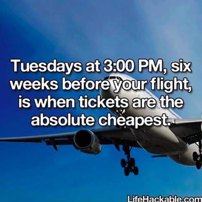 &quot;Nas terças às três da tarde, seis semanas antes do seu voo, é quando as passagens estão mais baratas&quot;