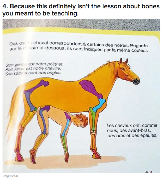 Horsxxxgirl - Facebook Appears To Think This Picture Of A Horse Is Porn And Won't Let Us  Share It