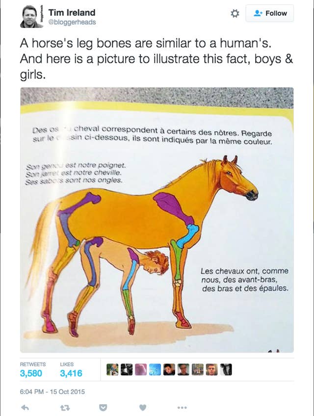 Wwwsexhors - Facebook Appears To Think This Picture Of A Horse Is Porn And Won't Let Us  Share It