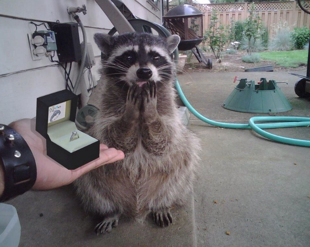 sub-buzz-23331-1464949274-1.png?resize=6