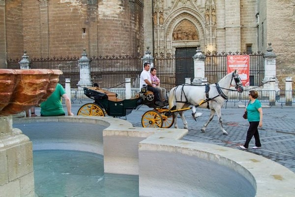 Ese repiqueteo de las herraduras contra el adoquí, ese del que te has quejado muchas veces y que, cuando has vivido en el centro, te ha despertado más de una mañana. Ese. Lo vas a echar de menos. Y créeme, dos cocos no suenan igual.