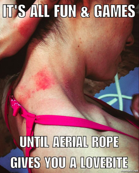 Here's Everything You Need To Know Before Trying Aerial Circus Classes