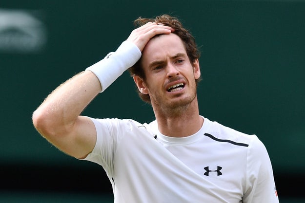 Literally Just 17 Pictures Of Andy Murray Celebrating Winning Wimbledon