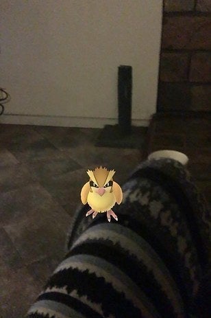 ポケモンgoで全米大騒ぎ 強盗 死体発見 でも ビジネス機会や人助けも ポケモンgoで全米大騒ぎ 強盗 死体発見 でも ビジネス機会や人助けも