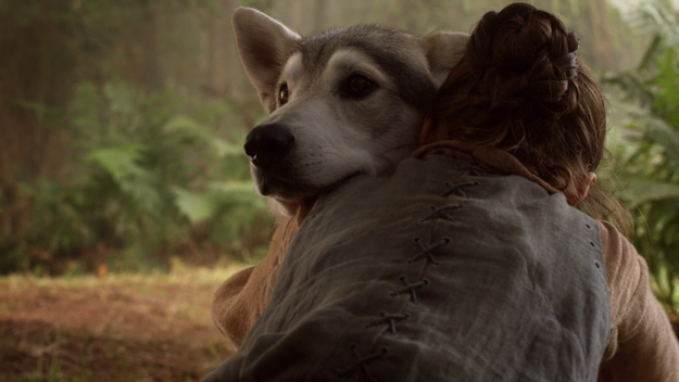 Or, "Is Nymeria ever coming back?"