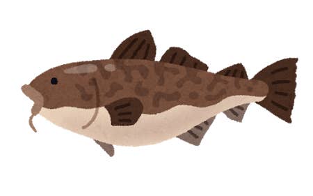 生誕70周年のサザエさん 声優とキャラの年齢ギャップに驚き