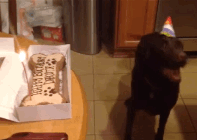 This overjoyed birthday boy, who can't wait to make a wish.
