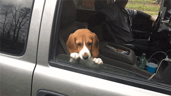 This battle is fought in cars nationwide, every single day.