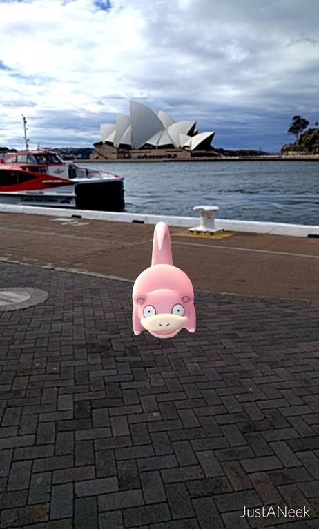 Slowpoke stops in front of Sydney Harbor Opera House after spending the entire day touring the pier.