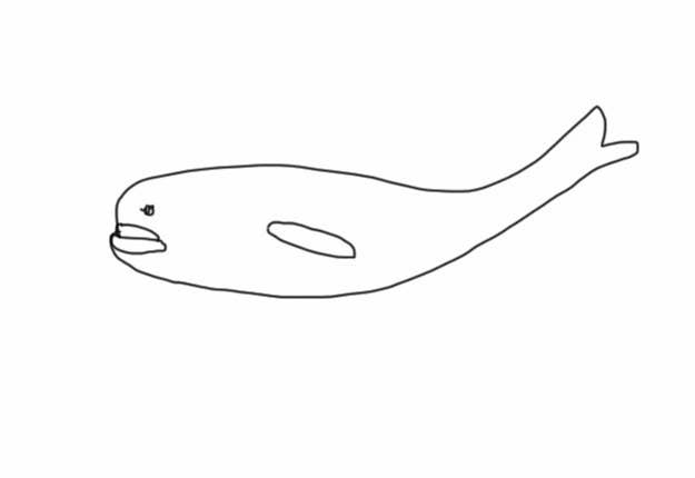 クイズ これらは下手な動物の絵です 何の動物か見分けられるかな クイズ これらは下手な動物の絵です 何の動物か見分けられるかな