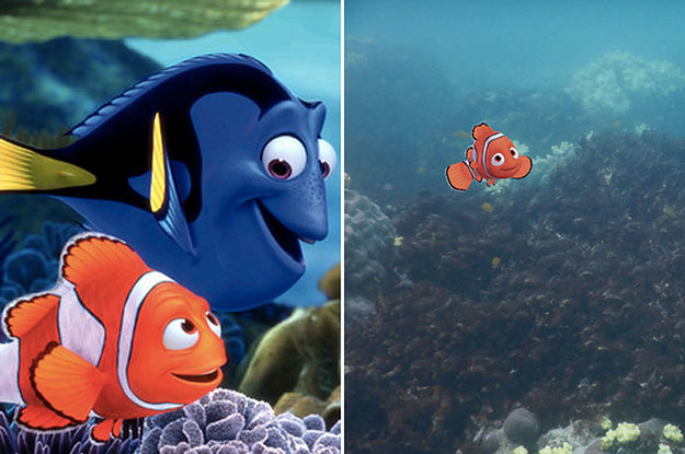 This Is What It Would Look Like If They Made "Finding Nemo