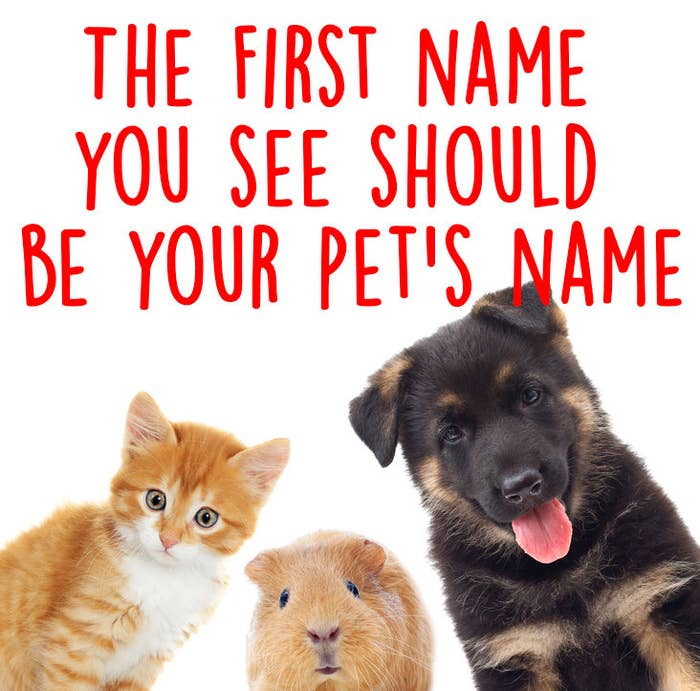 What Should You Name Your Pet?