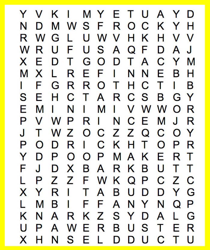 What Should You Name Your Pet?