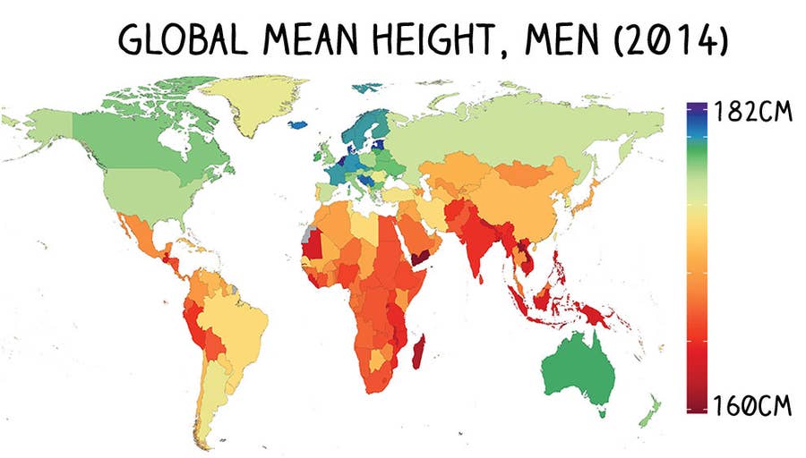 2024 Average Height of the World - Wanna Be Taller