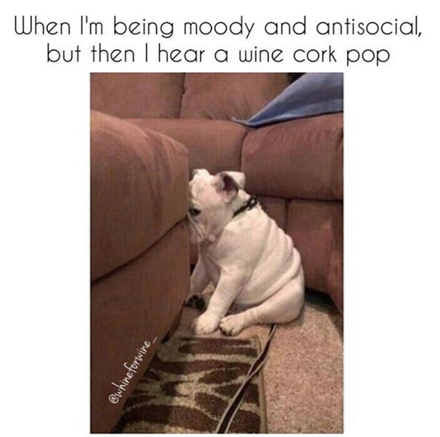 This ~CONFLICT~: