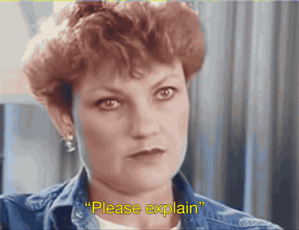 Hanson and journalist Tracey Curro were recalling the famous moment when Curro asked Hanson if she was xenophobic. "Everything's racing through my mind. Do I bluff my way through it? Do I know what the word is? What do I do?" In the end, Hanson responded with the famous words, "please explain?"She says her advisor, John Pasquarelli, was sitting on a couch nearby with his head in his hands. For his part, Pasquarelli says he couldn't have scripted it better - "The fish and chip lady strikes again". It's not entirely clear what he meant.