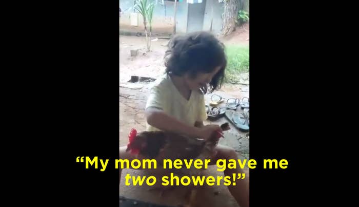 This Adorable Video Of A Little Girl Grooming A Chicken Has Gone