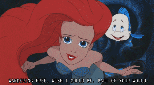 "Part of Your World"