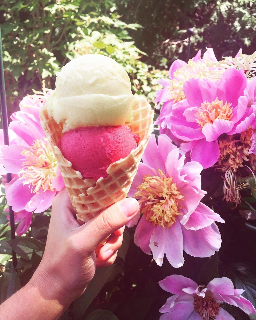 23-places-to-get-the-most-mind-blowing-ice-cream-in-canada