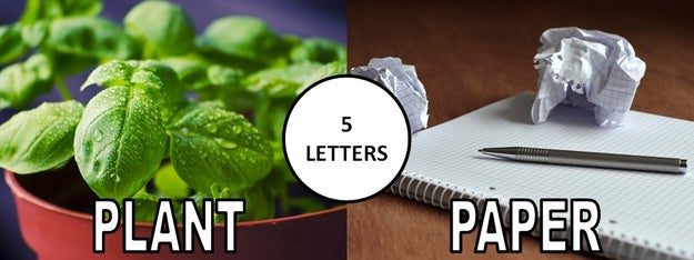Each word has the same number of letters and begins with the same letter as its picture pair. For instance, plant and paper both have five letters and begin with P.