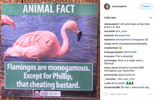 Comedian Jeff Wysaski, who is known by his stage name, "Obvious Plant," took responsibility for the prank.