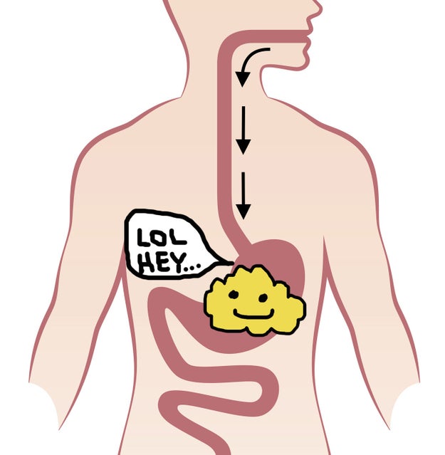 Swallowing is mainly for the purpose of getting food and liquid from our mouth to our stomach.